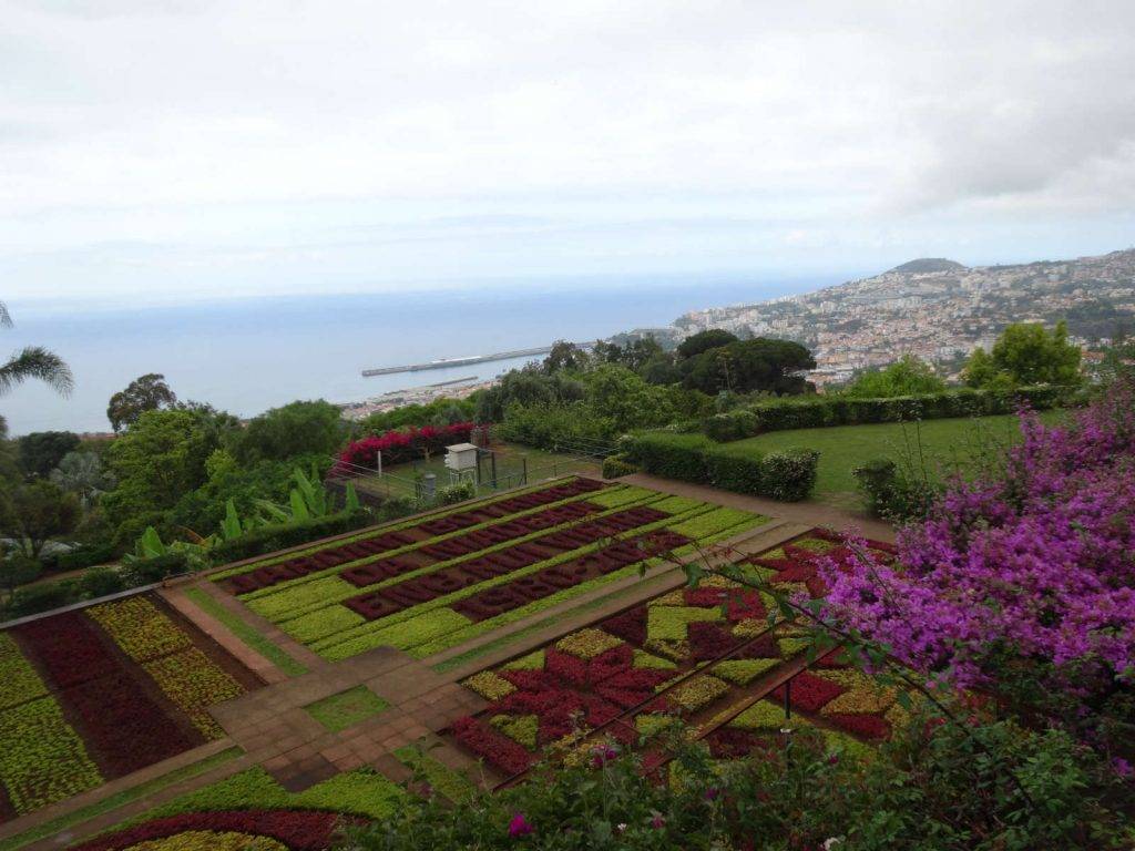 madeira 1