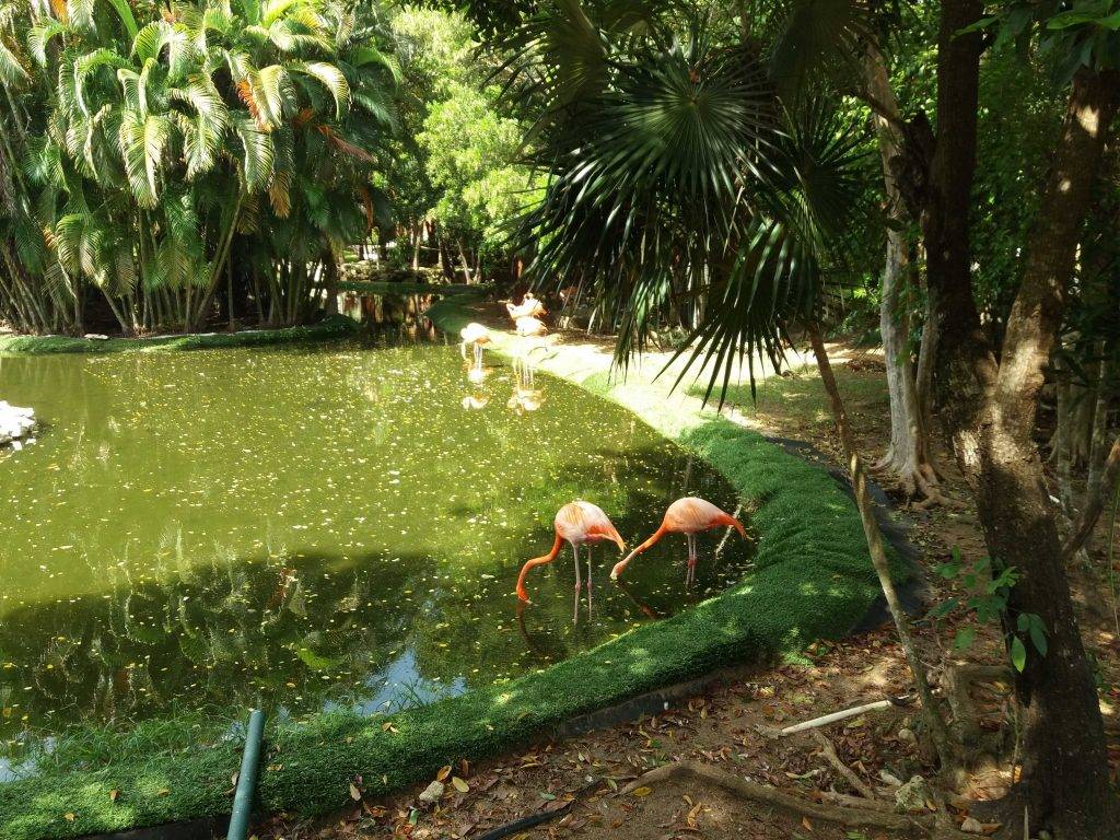Resort no México - Hotel Grand Palladium
