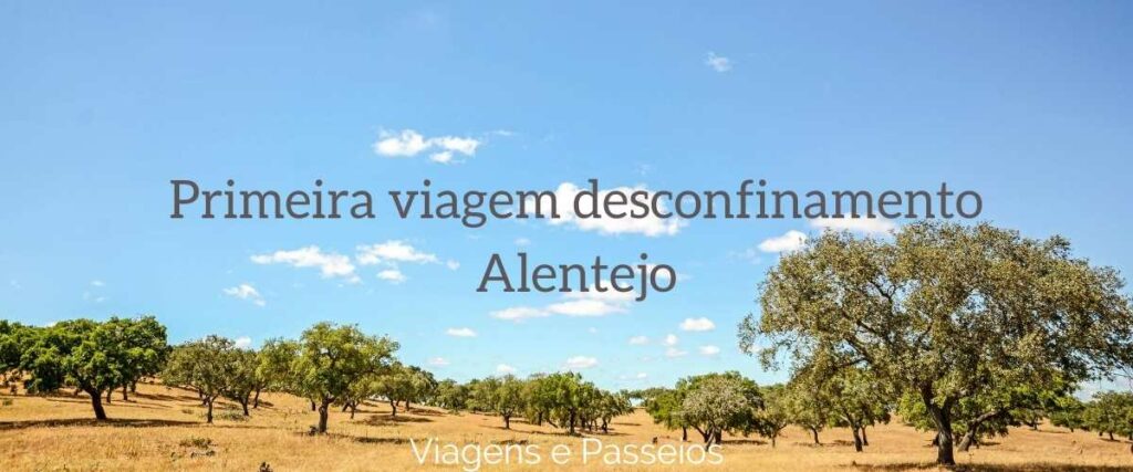 Primeira viagem desconfinamento