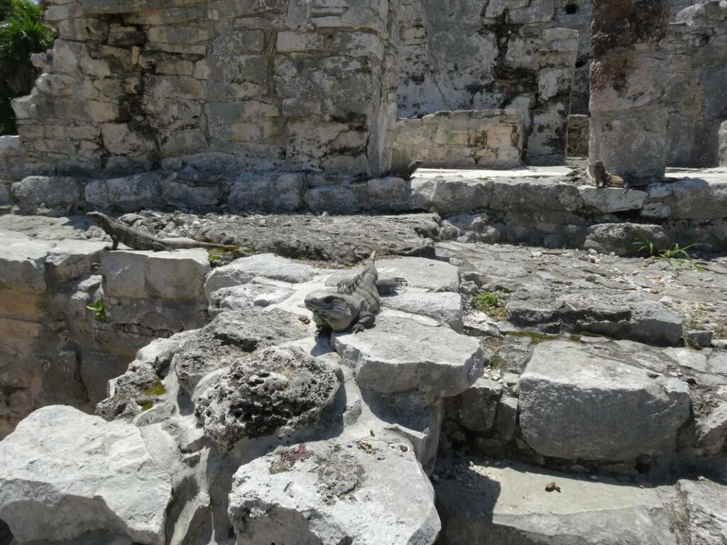 Ruínas de Tulum