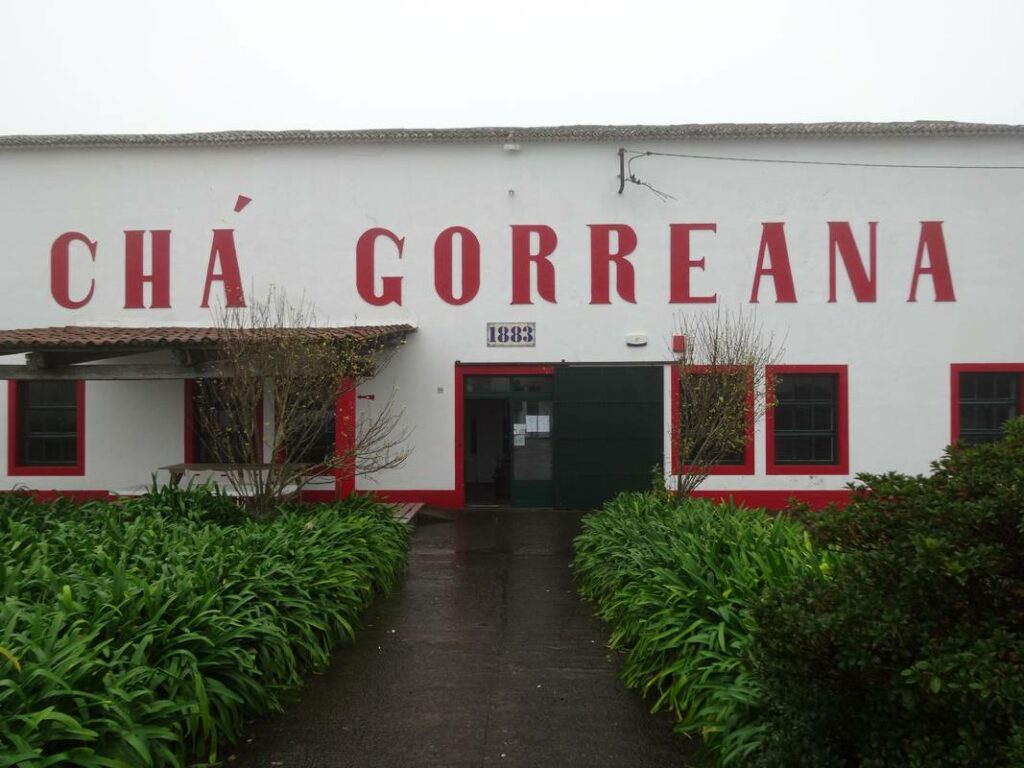 Chá Gorreana - Ilha de São Miguel
