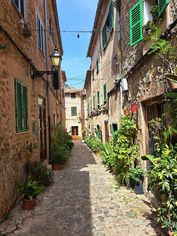 Valldemossa Maiorca